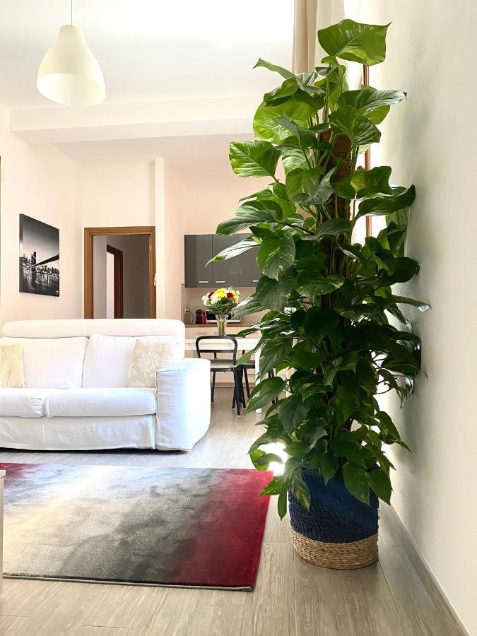 Delonix Regia Olbiaアパートメント エクステリア 写真
